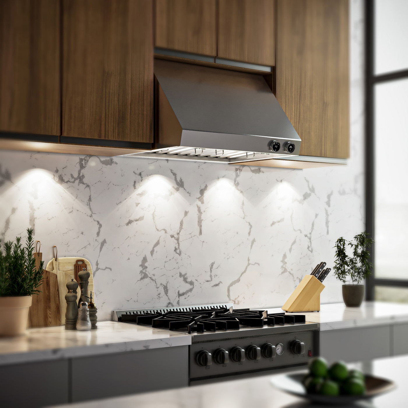 Forno Biagio Stainless Steel 30" 600 CFM Wall Mounted Range Hood - FRHWM5009-30