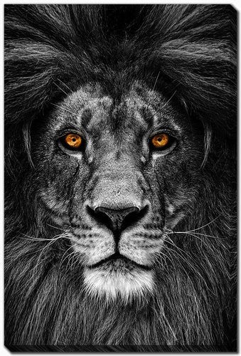 Eyes of the King Wall Art - Black/Grey - 38 X 60