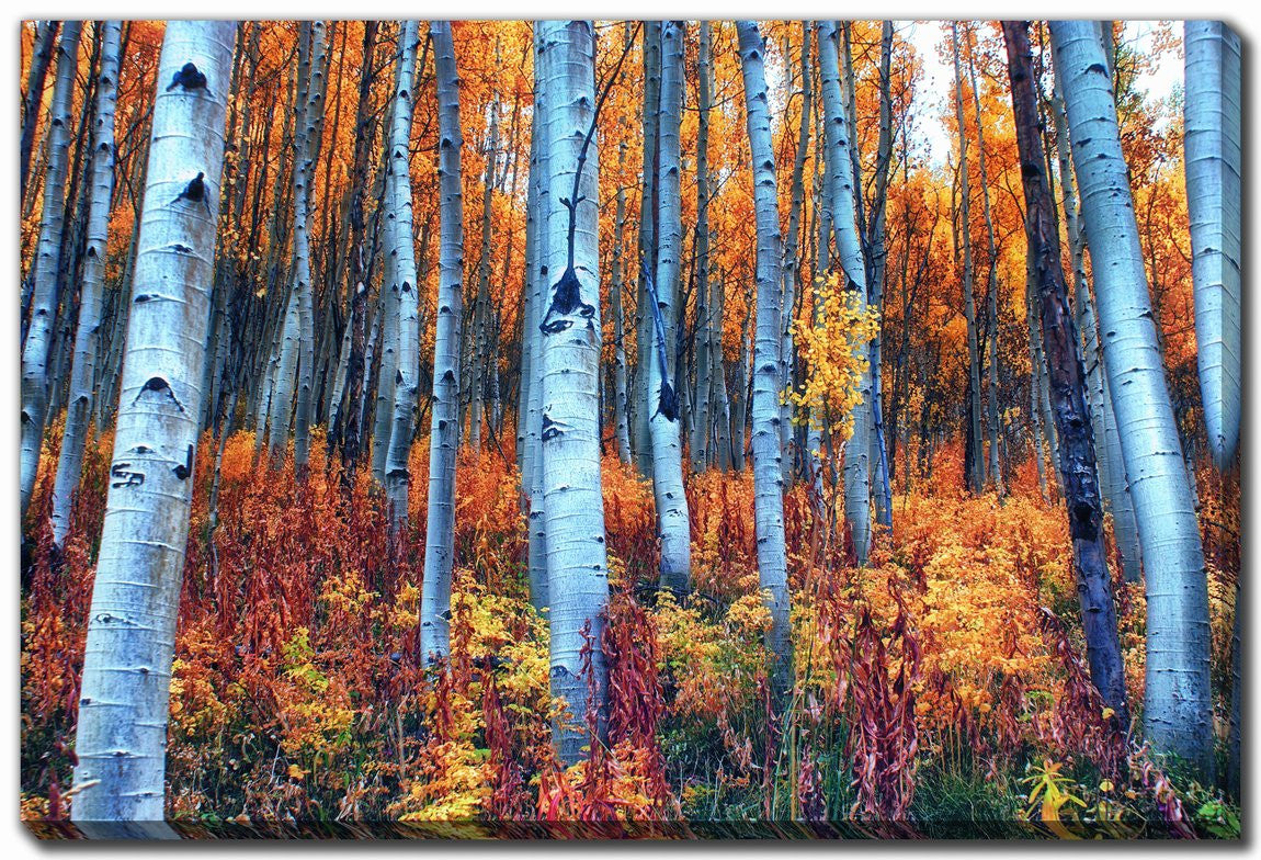 Autumn Blaze Wall Art - Orange - 30 X 45