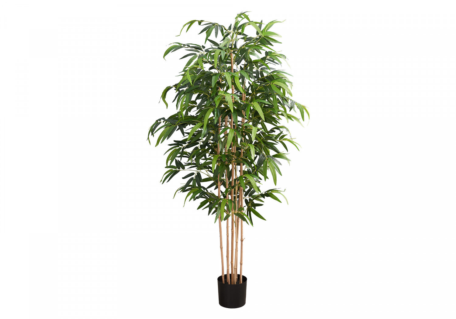 83" Bamboo Tree With 8" Black Pot - Green