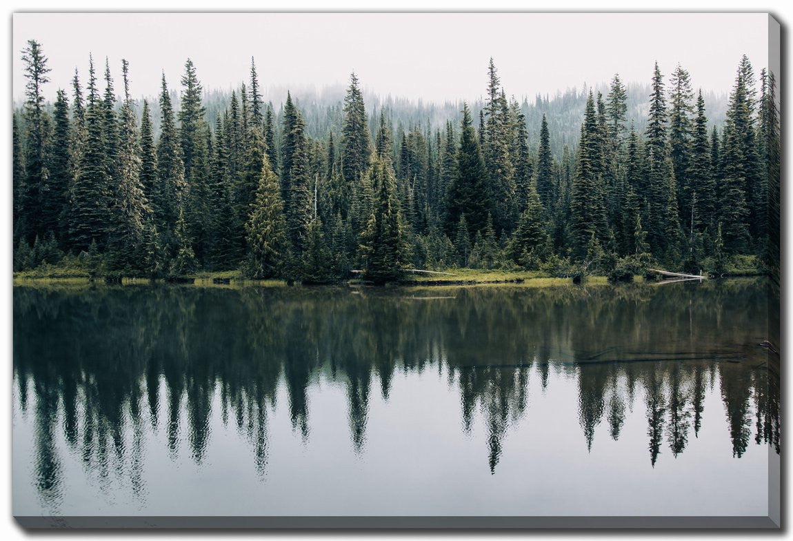 Forest Echo Wall Art - Green - 30 X 45