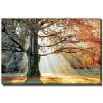 Seasons Divide Wall Art - Orange - 16 X 20