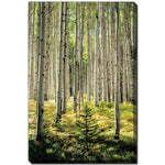 Whispering Grove Wall Art - Green - 22 X 28