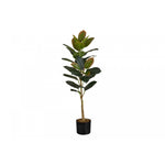 40" Rubber Tree With 5" Black Pot - Green