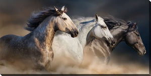 Freedom Gallop Wall Art - Brown - 10 X 20