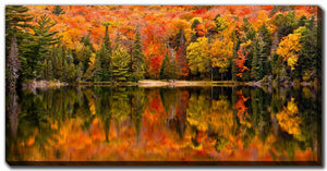 Autumn Reflections Wall Art - Orange/Green - 30 X 60
