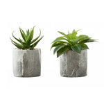 7" Succulent Plant with 4" Marble-look Pot - Green - Set of Two