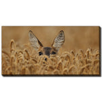 Curious Wonderer Wall Art - Brown - 30 X 60