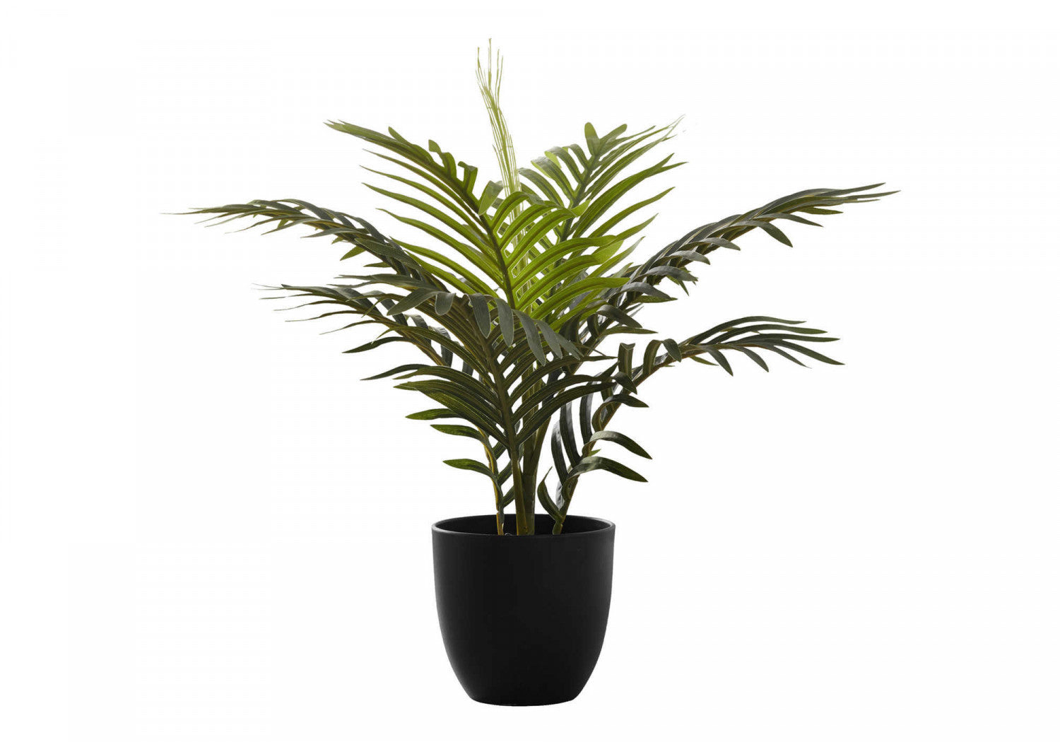 20" Palm Plant With 5" Black Pot - Green