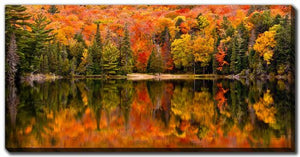 Autumn Reflections Wall Art - Orange/Green - 20 X 40