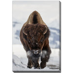 Charging Bison Wall Art - Brown - 22 X 28
