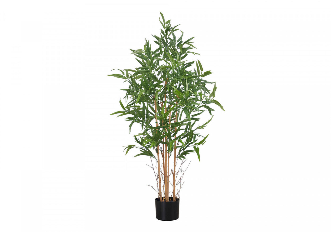 50" Bamboo Tree With 5" Black Pot - Green