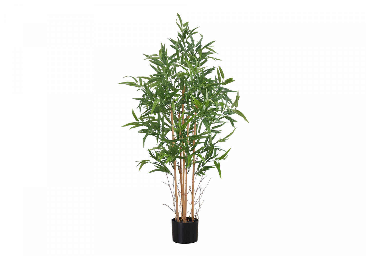 50" Bamboo Tree With 5" Black Pot - Green