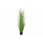 47" Grass Plant With 5" Black Pot - Green