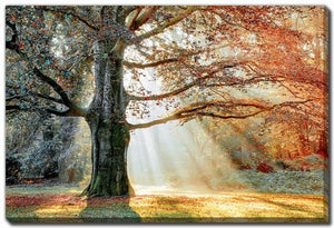 Seasons Divide Wall Art - Orange - 38 X 60