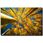 Beneath the Leaves Wall Art - Yellow - 22 X 28