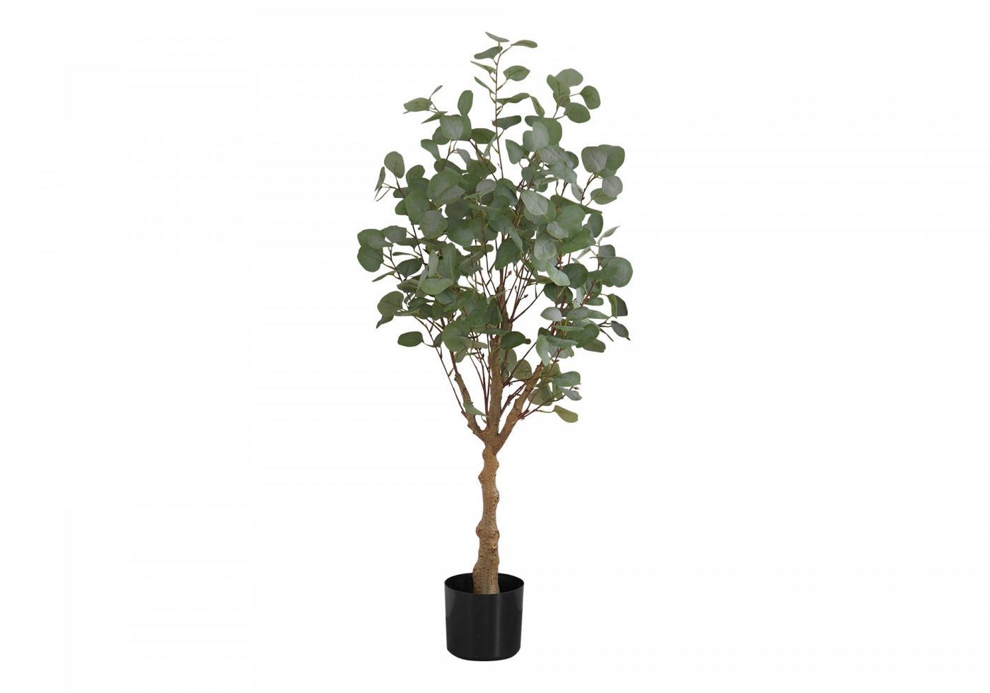 46" Eucalyptus Tree With 5" Black Pot - Green