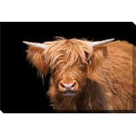 Moo in the Shadows Wall Art - Brown - 16 X 20