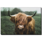 Woolly Majesty Wall Art - Brown/Green - 30 X 45