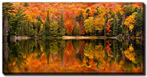Autumn Reflections Wall Art - Orange/Green - 10 X 20