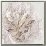 Petal Glow I Wall Art - White/Grey - 30 X 30