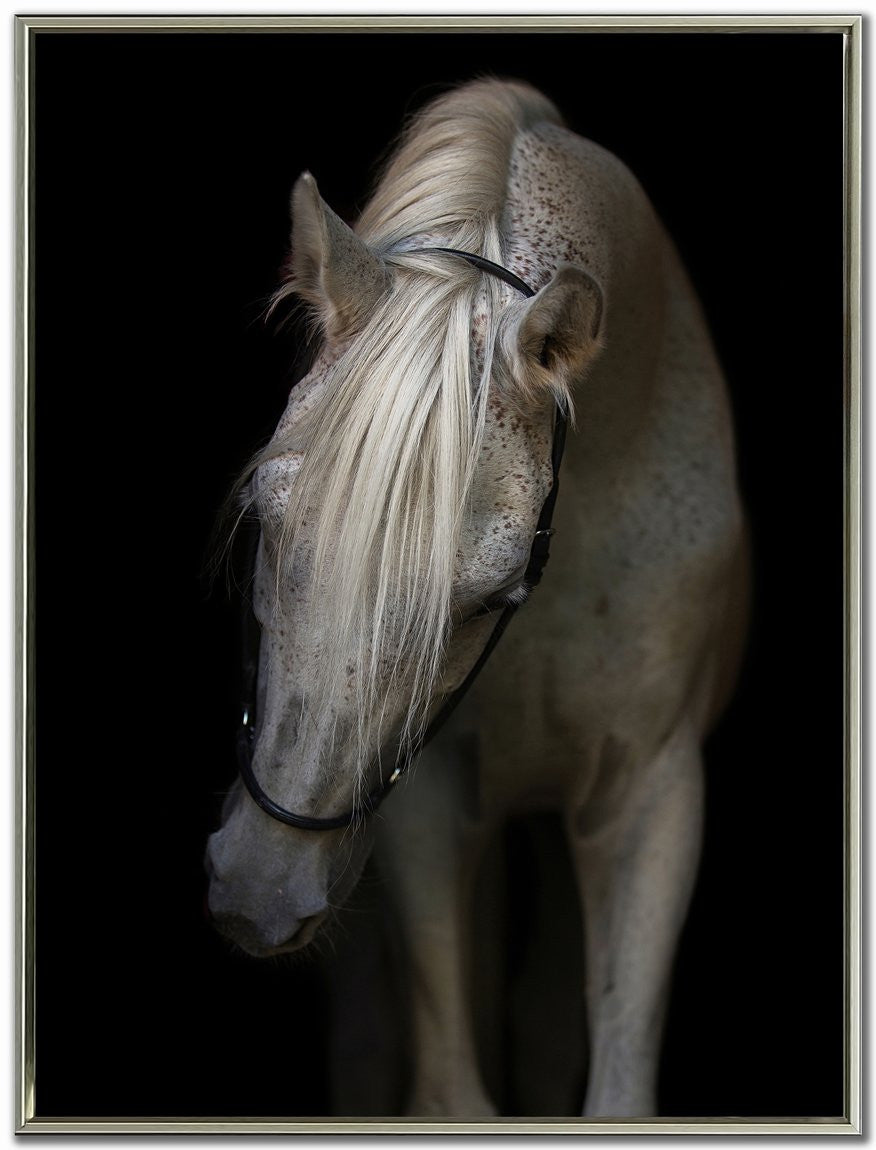 Silent Beauty Wall Art - Black/White - 48 X 36