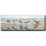 Shorebirds Wall Art - Brown/Beige - 20 X 60