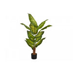 47" Evergreen Plant With 5" Black Pot - Green
