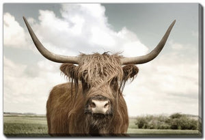 Highland Wisdom Wall Art - Brown - 16 X 20