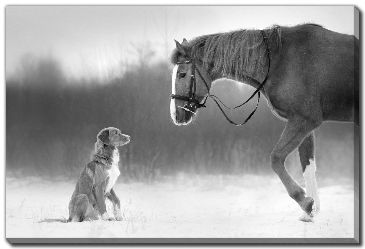 Winter Companions Wall Art - Grey - 30 X 45