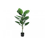 54" Dieffenbachia Tree With 6" Black Pot - Green