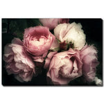 Petals in the Dark Wall Art - Pink - 16 X 20