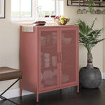 Channing 2 Door Storage Cabinet with Mesh Metal - Terracotta
