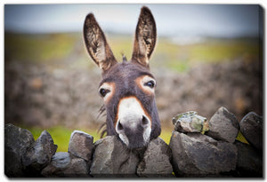 Behind the Wall Art - Brown - 22 X 28