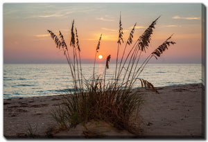 Dune Silhouette Wall Art - Orange/Brown - 38 X 60