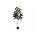 52" Rubber Tree With 5" Black Pot - Green