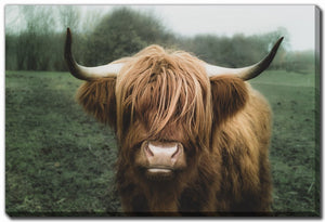 Woolly Majesty Wall Art - Brown/Green - 38 X 60