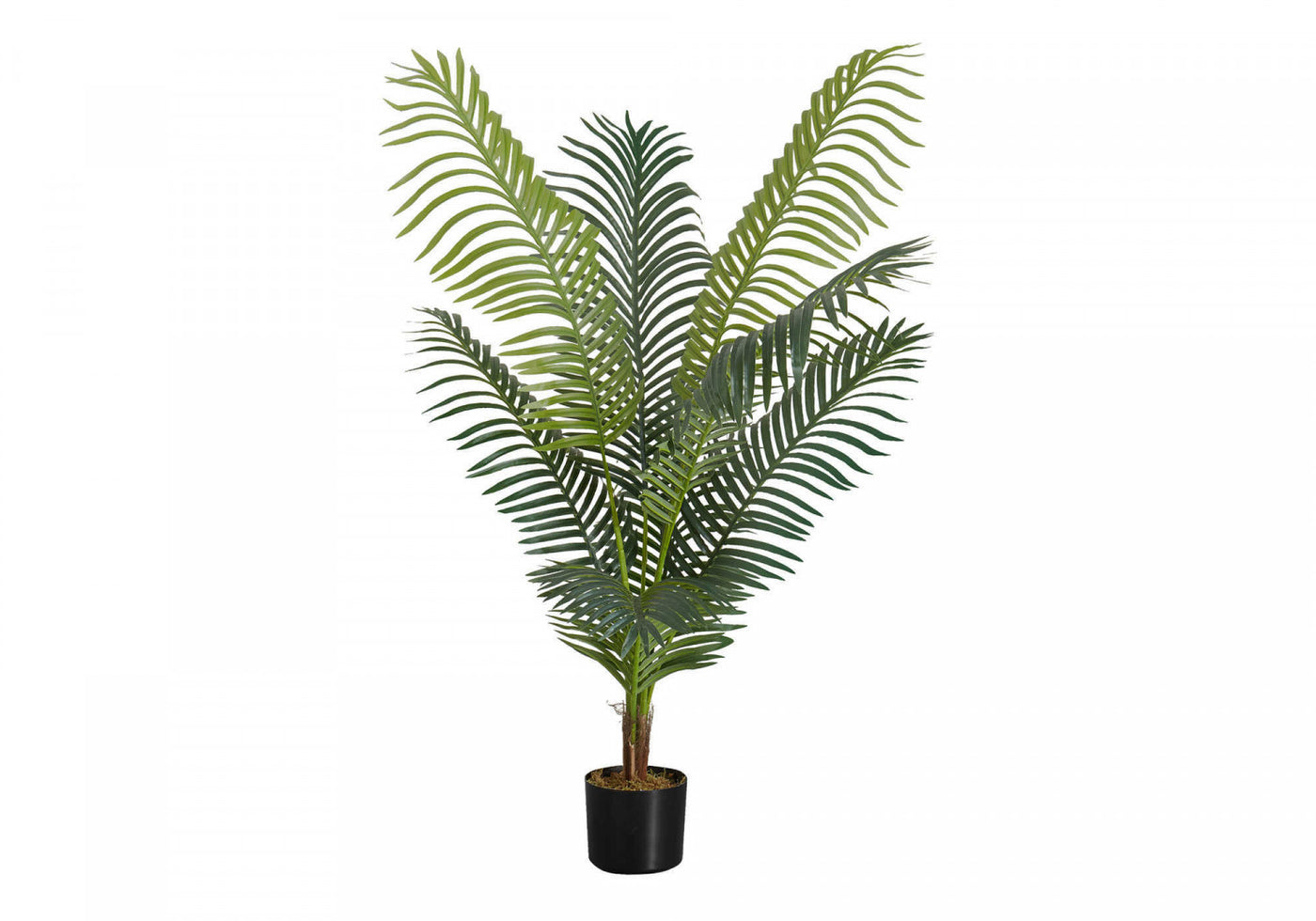 47" Palm Tree With 6" Black Pot - Green