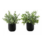 11" Eucalyptus Grass Plant With 5" Black Pot - Green - Set of Two