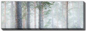 Misty Pine Forest Wall Art - Green - 12 X 36