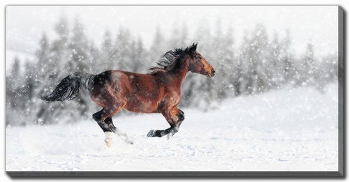 Snow Spirit Wall Art - White/Dark Brown - 10 X 20