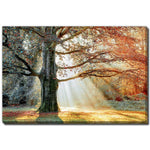 Seasons Divide Wall Art - Orange - 30 X 45