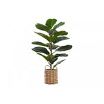 28" Fiddle Tree With 8" Woven Basket Pot - Green