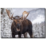 King of the Forest Wall Art - Brown/Grey - 30 X 45