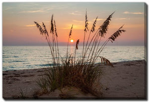 Dune Silhouette Wall Art - Orange/Brown - 16 X 20