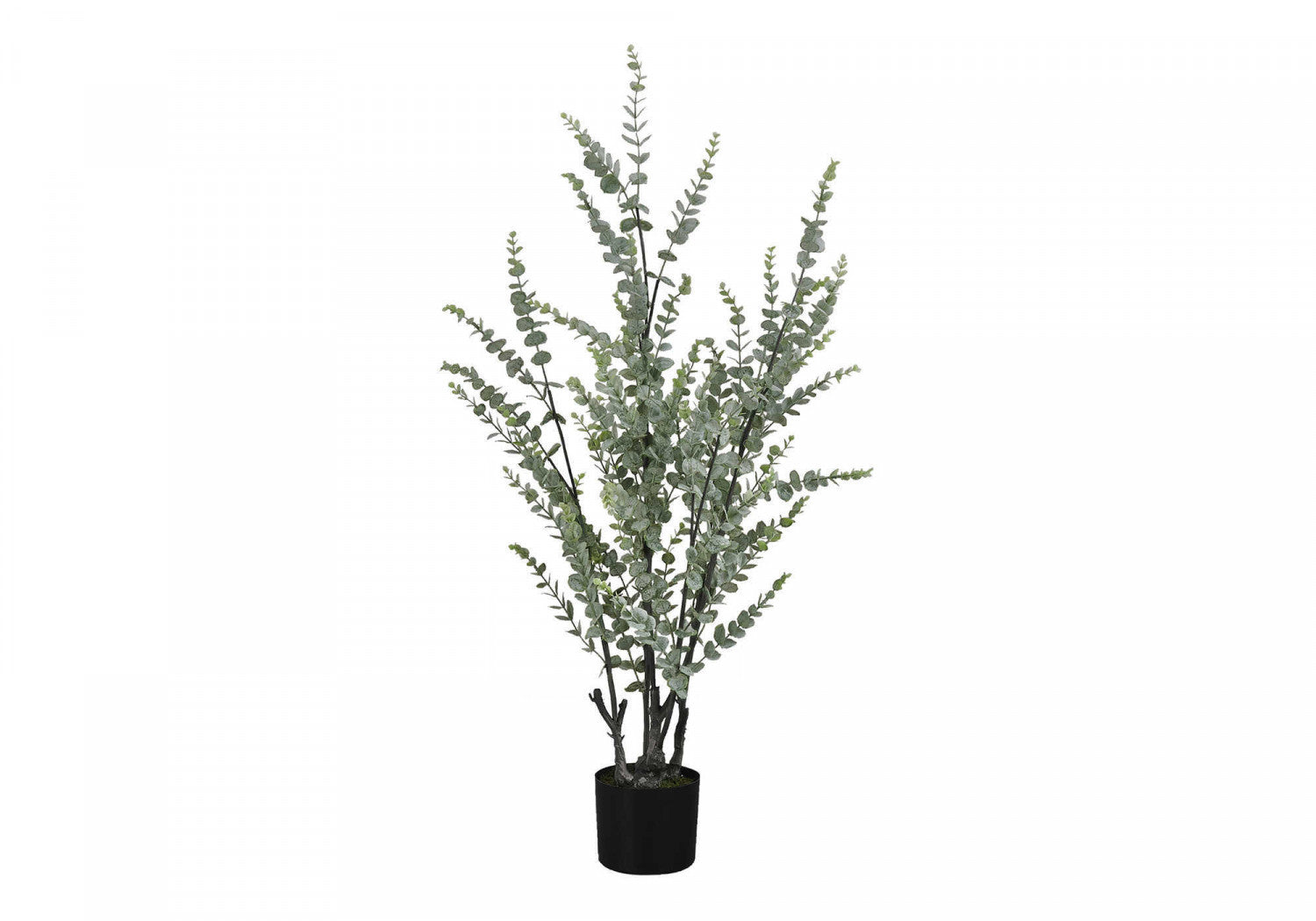 44" Eucalyptus Plant With 5" Black Pot - Green
