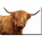 Ginger Pride Wall Art - Brown - 22 X 28