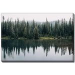 Forest Echo Wall Art - Green - 16 X 20