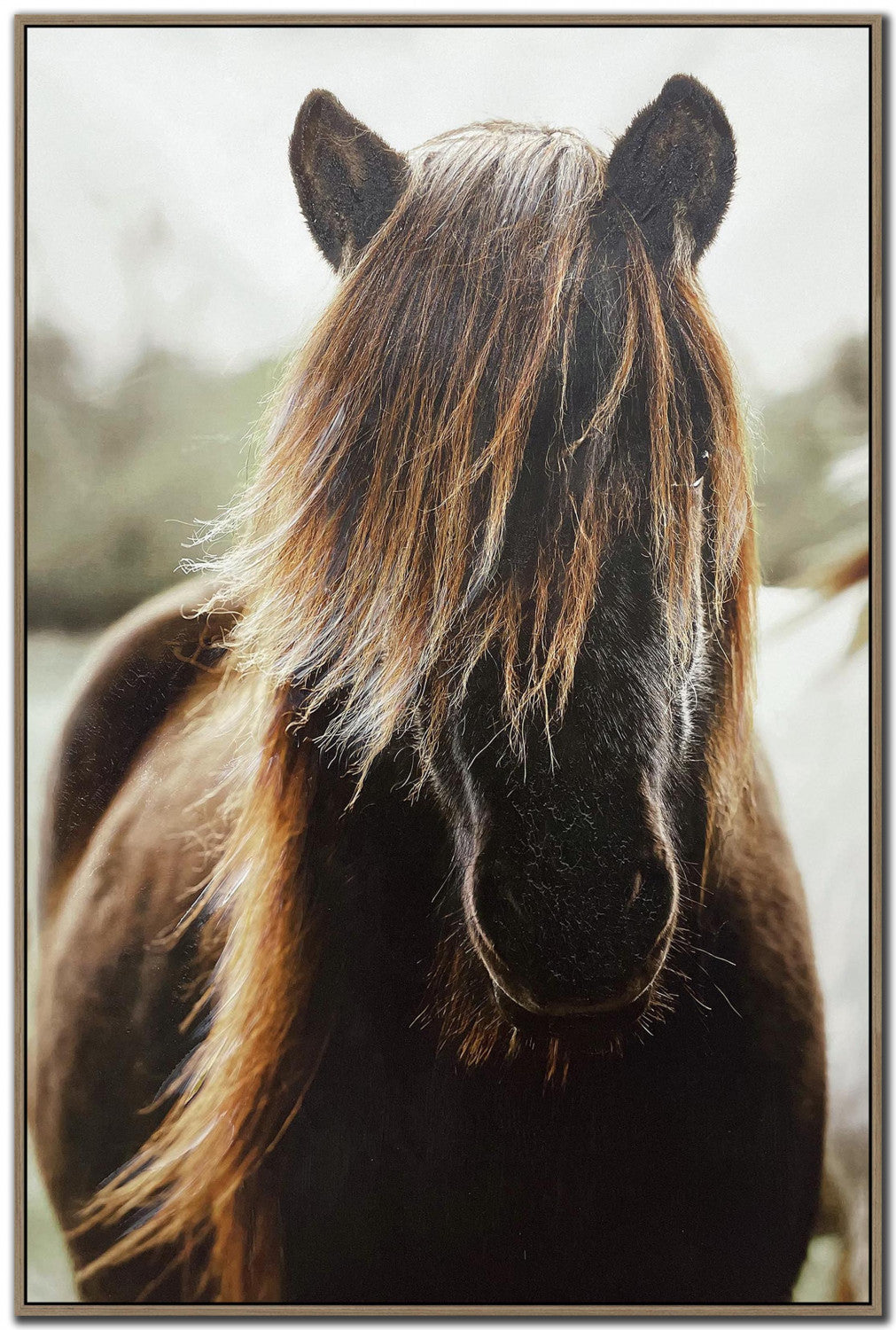 Shaggy Equine Wall Art - Brown - 45 X 30