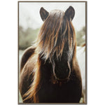 Shaggy Equine Wall Art - Brown - 45 X 30